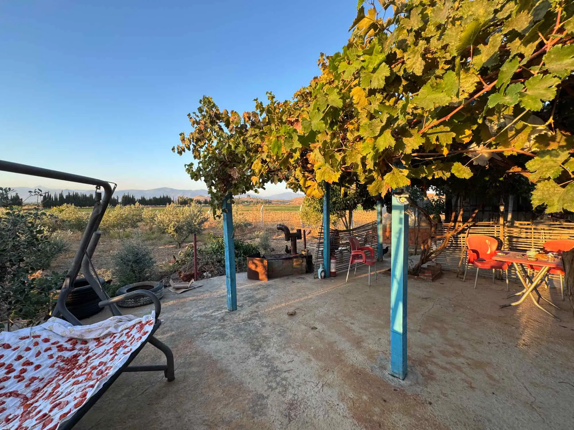 Property image 11