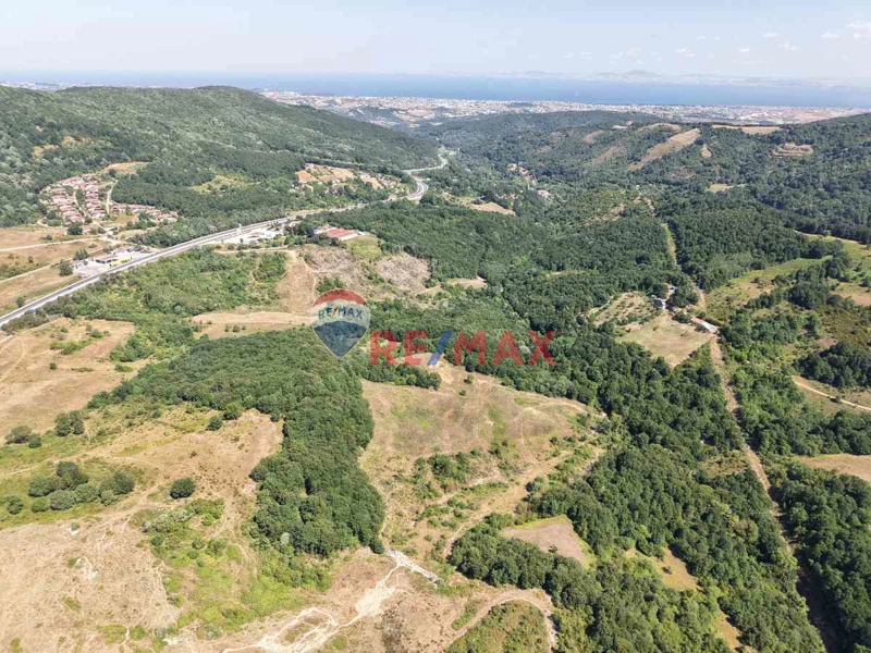 YALOVA MERKEZ ESADİYE KÖYÜNDE SATILIK 15.609M2 TARLA