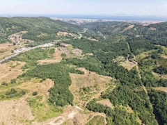 YALOVA MERKEZ ESADİYE KÖYÜNDE SATILIK 15.609M2 TARLA