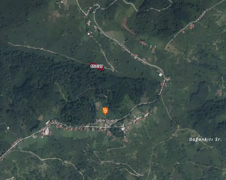 ORDU ÇAYBAŞI AKBABA'DA REMAX'TAN SATILIK 1642M2 FINDIK BAHÇESI