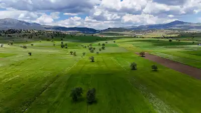 ÇALTILAR KÖYÜ YAKININDA ALTYAPISI HAZIR 4.030 M² MÜSTAKIL TAPULU