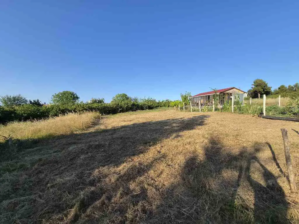Property image 26