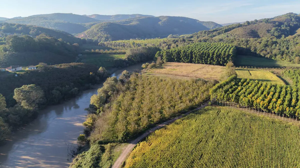 SAKARYA NEHRİNE SIFIR | 11.733 M² | 118 ADET YETİŞKİN CEVİZ AĞACI