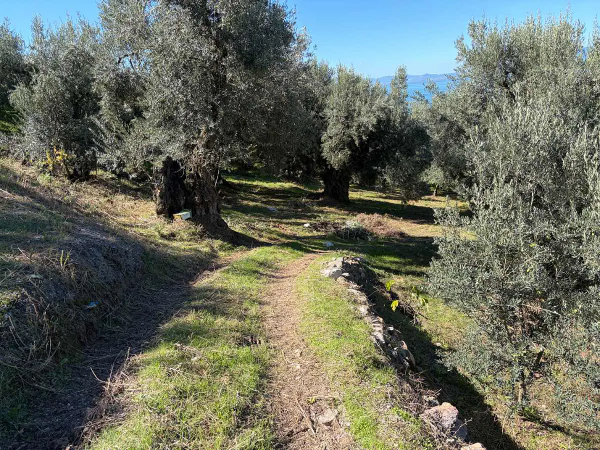 Property image 25