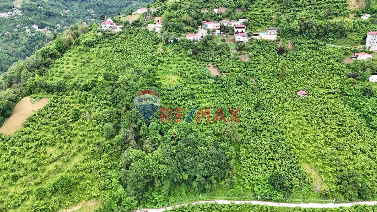 ORTAHİSAR ÇAĞLAYAN MAHALLESİ'NDE SATILIK 4000 M2 ARAZİ