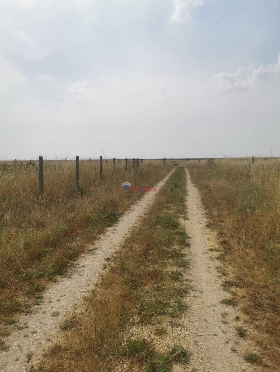 REMAX LAVANDA TEKİRDAĞ SARAY BÜYÜKYONCALI 27.375 M2 ARAZİ