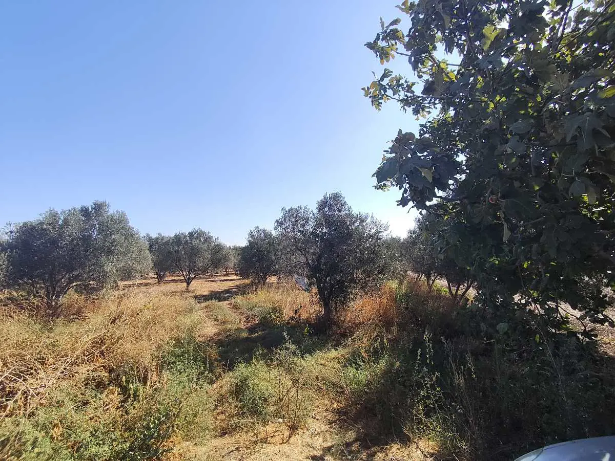 Property image 16