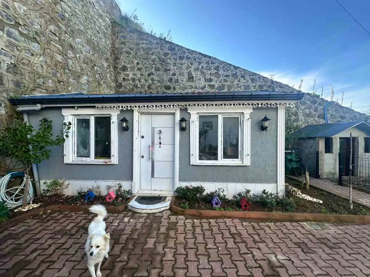 Property image 28