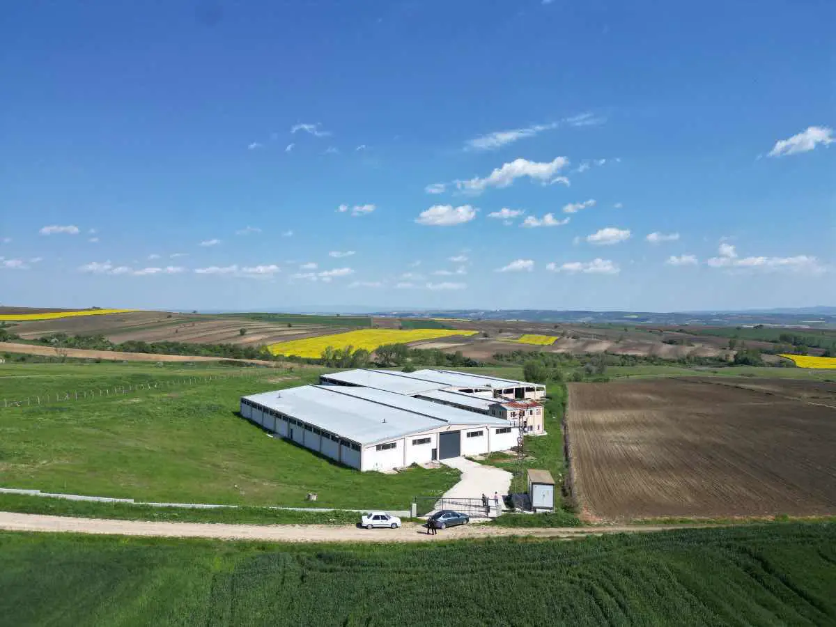 TEKIRDAĞ HEMITTE 25 DÖNÜM İÇINDE 6.250 M² ÇIFTLIK
