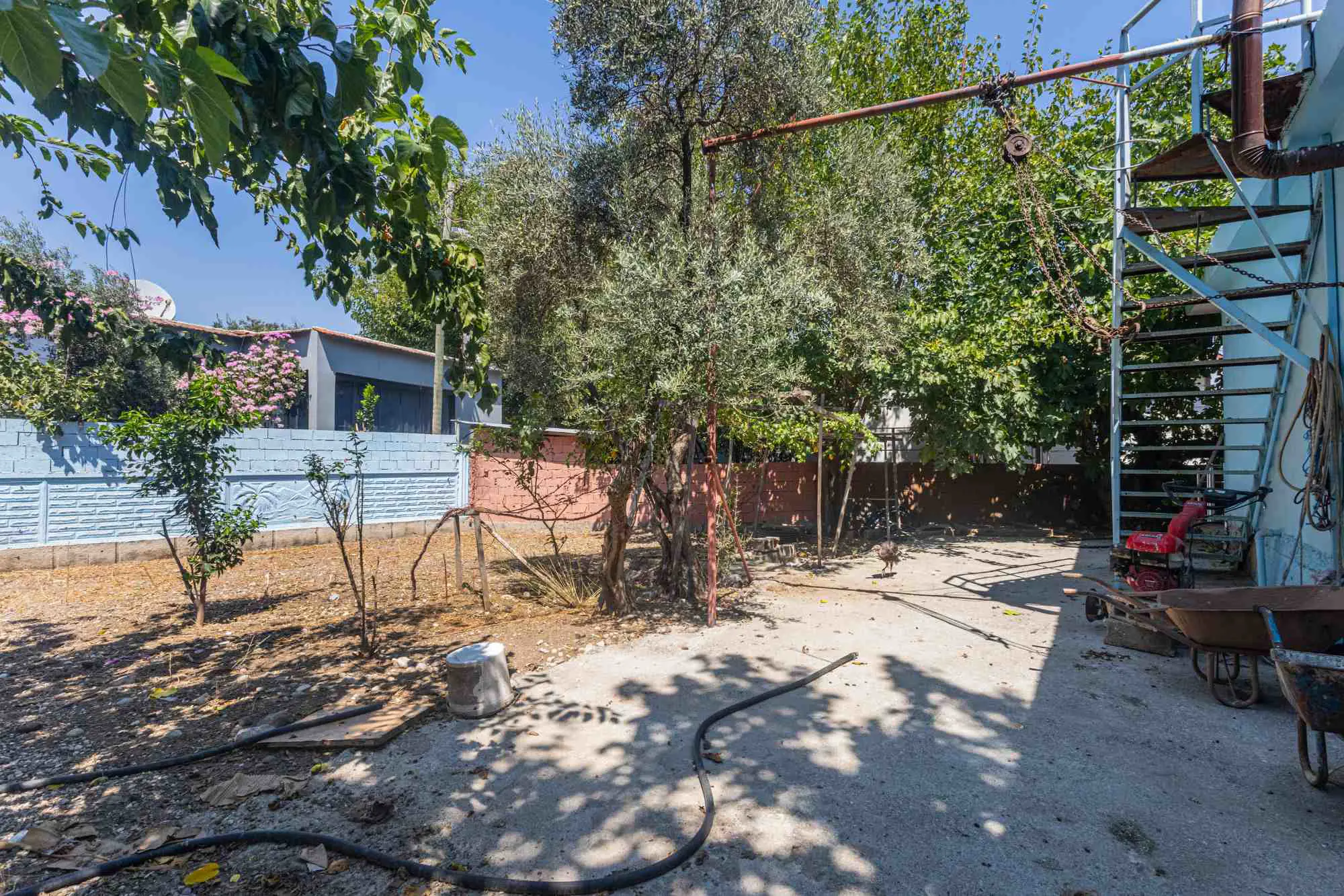 Property image 23