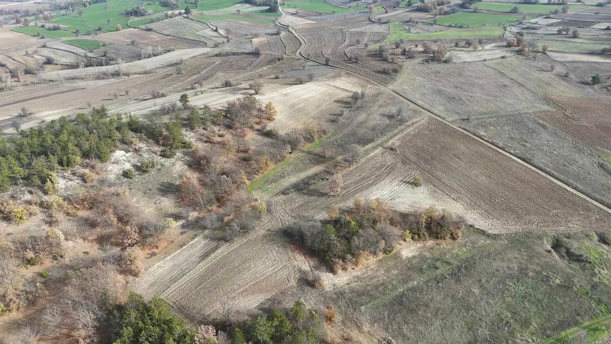 BILECIK YENIPAZAR'DA RESMI YOLA CEPHELI 6.607 M² SATILIK TARLA