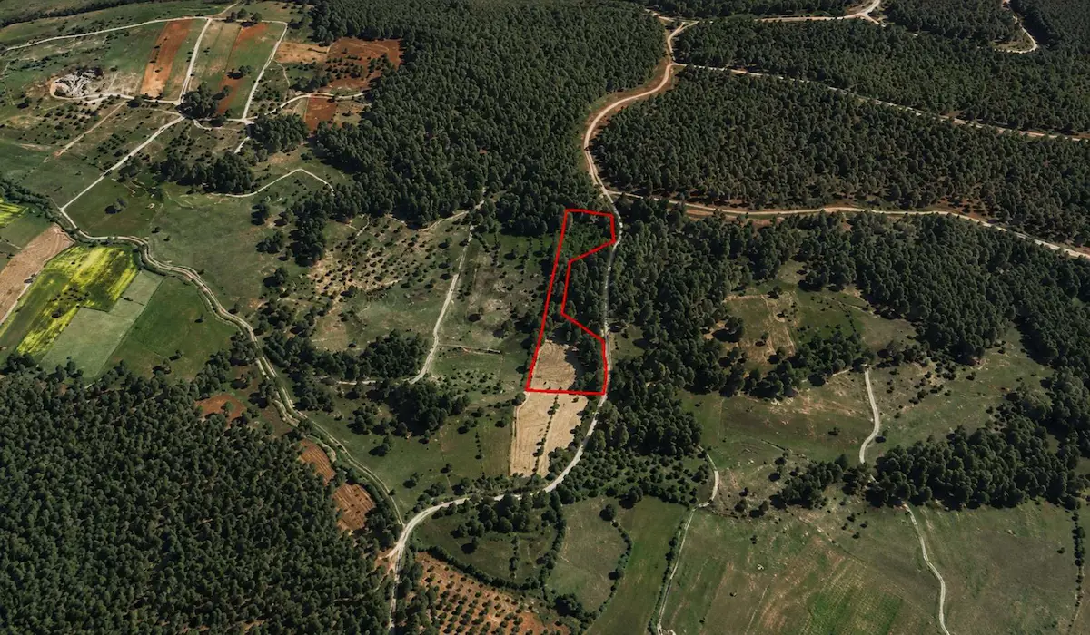 MILAS PINARARASI’NDA BAŞKAKÖY PROJESINE KOMŞU, 6.957 M² YATIRIMLIK DÜZ TARLA