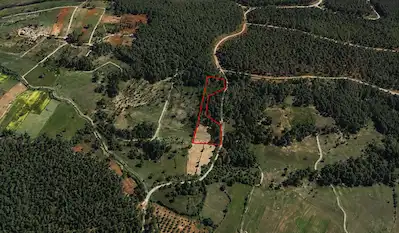 MILAS PINARARASI’NDA BAŞKAKÖY PROJESINE KOMŞU, 6.957 M² YATIRIMLIK DÜZ TARLA