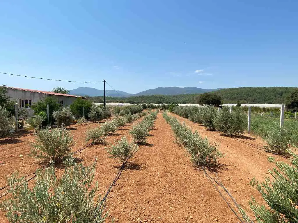 Property image 22