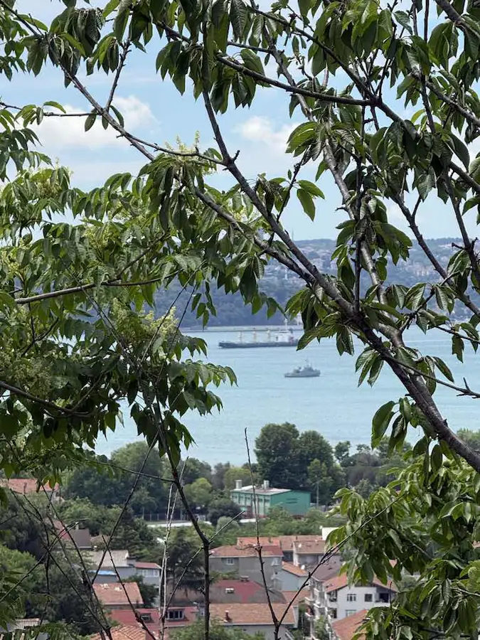 BEYKOZ GÜMÜŞSUYU'NDA MÜSTAKİL TAPULU BOĞAZ MANZARALI ARSA