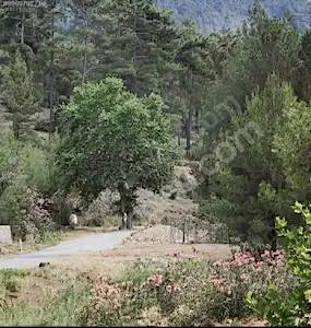 FETHİYE KIZILBEL KÖYÜNDE SATILIK İMARLI PARSEL