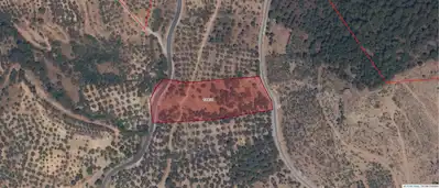 AYVALIK ÇAMOBA'DA DENİZ MANZARALI, 2 ANA YOLA CEPHELİ 10.928 M² PALAMUTLUK