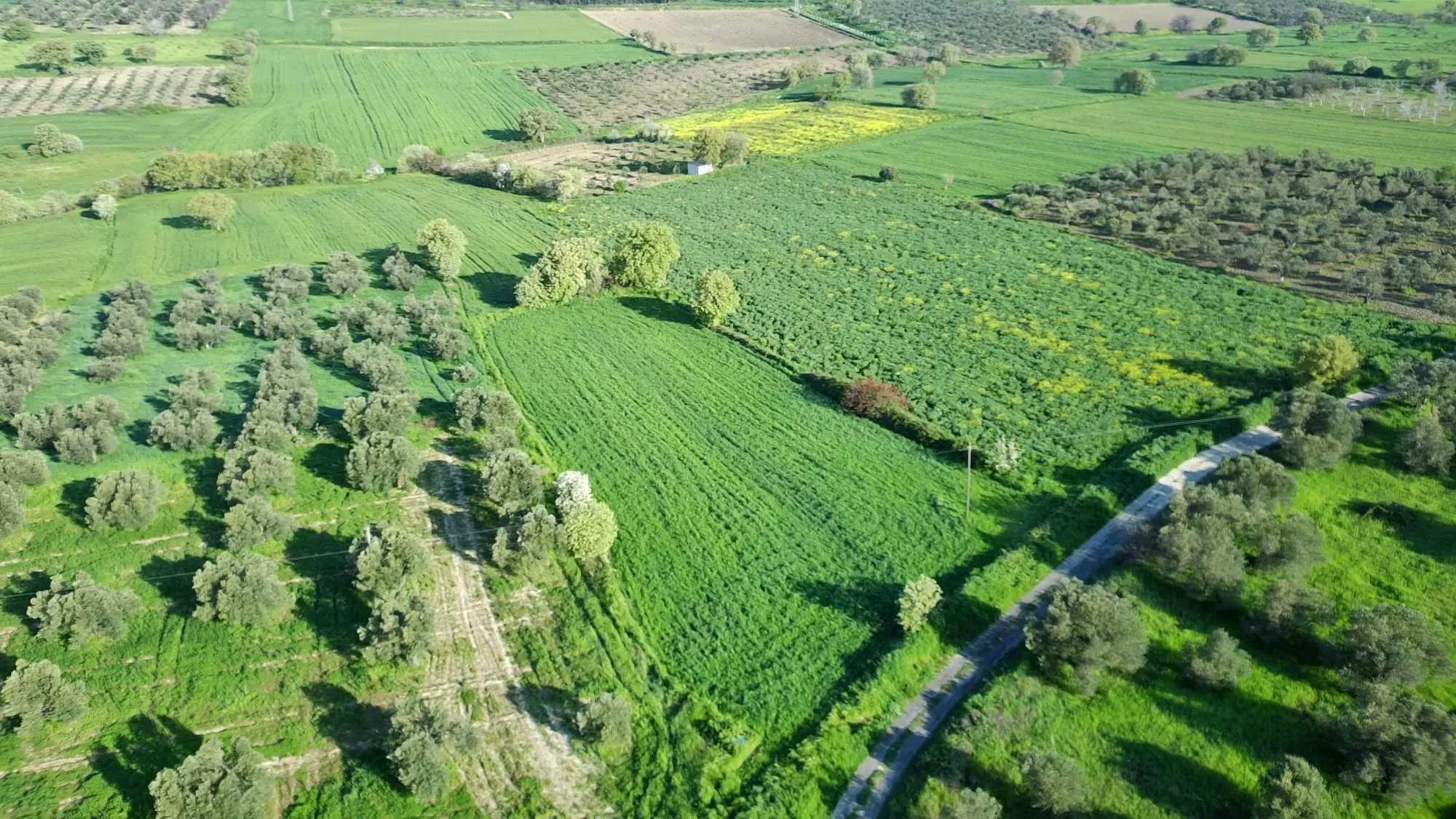 Property image 18