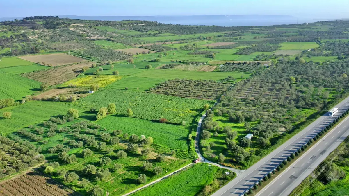 ÇANAKKALE MERKEZ ERENKÖY'DE YOLA CEPHE 3587M SATILIK TARLA