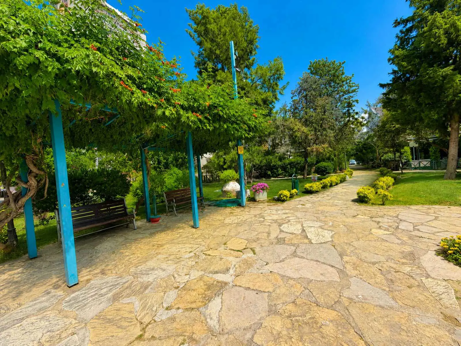 Property image 49
