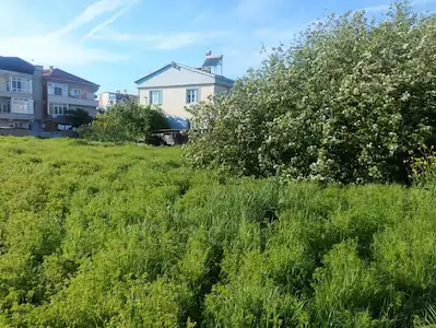 TEKIRDAĞ MURATLI DA MUHTEŞEM KONUMDA IMARLI ARSA