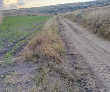 EDİRNE MERKEZ KOCASİNAN MAH.7.223 M2 RESMİ YOLA CEPHELİ TARLA