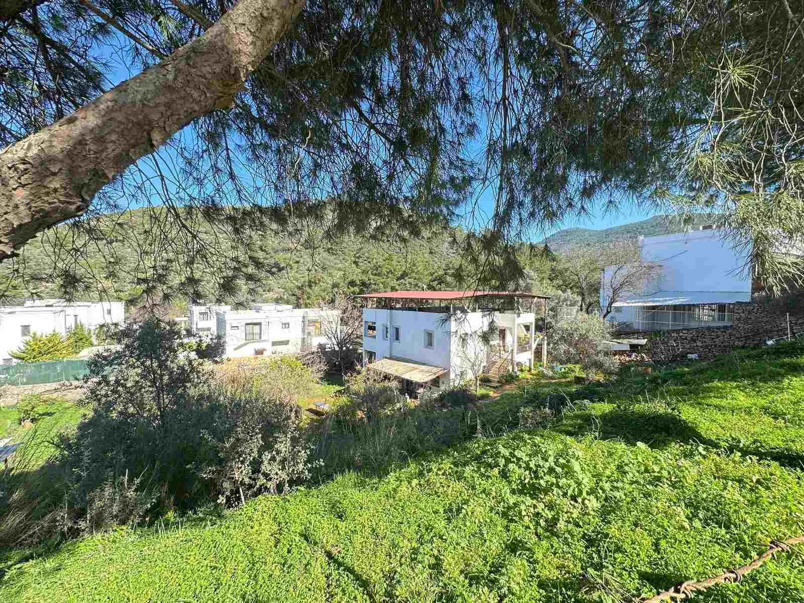 Property image 18