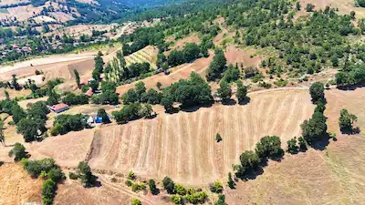 RE/MAX İNCİ'DEN KEPSUT BÜKDERE'DE 2.908 M² SATILIK %40 2 KAT İMARLI ARSA