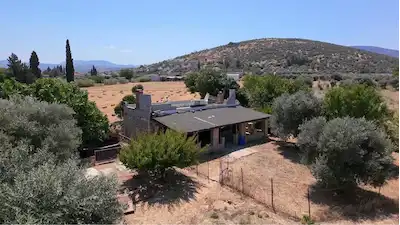 MUĞLA MİLAS’TA MÜSTAKİL PARSEL, İÇİNDE EVİ OLAN NARENCİYE BAHÇESİ￼