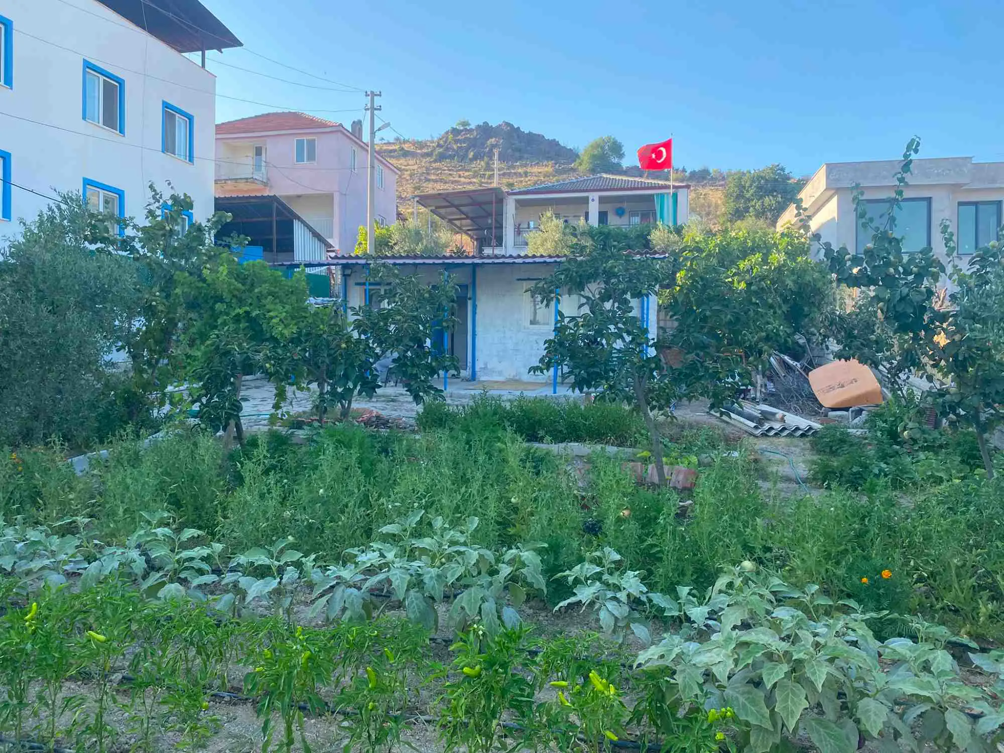 Property image 23