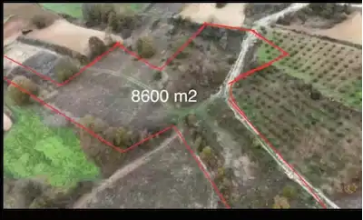 KAYNARCA ŞEYHTİMARI GÖKÇELER MAHALLESİ'NDE 8600 M2 SATILIK TARLA