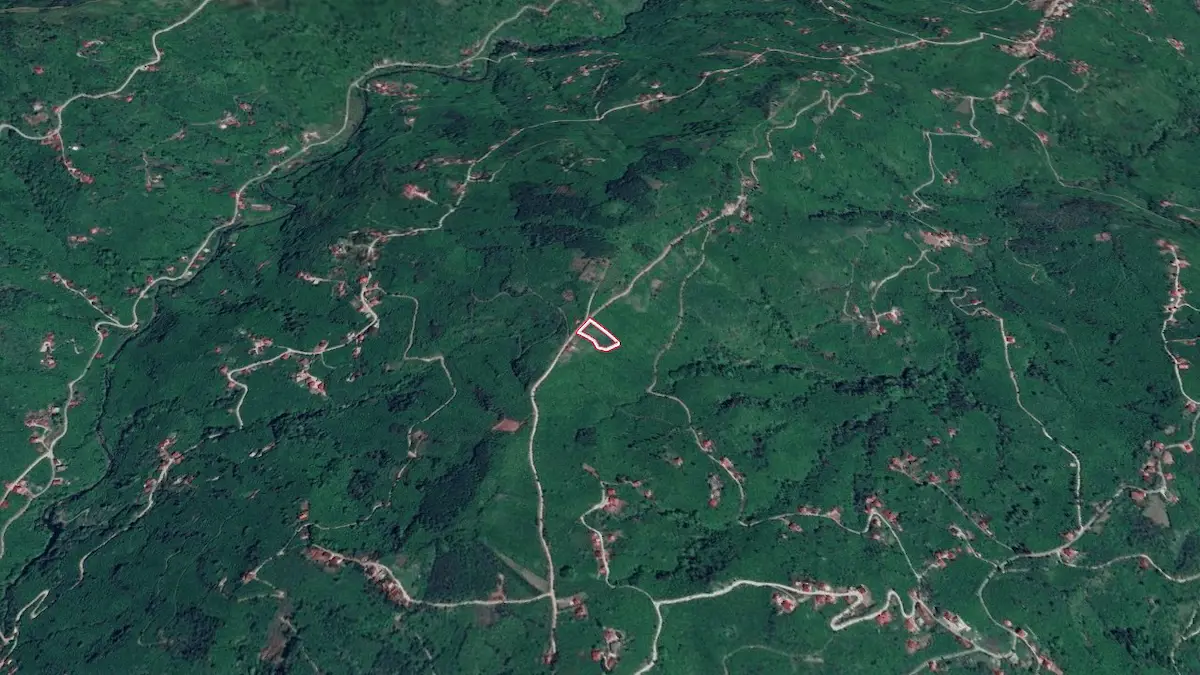 PERŞEMBE GÜZELYURT’TA FINDIK GETİRİLİ, 2.778 M² MÜSTAKİL BAĞ & BAHÇE
