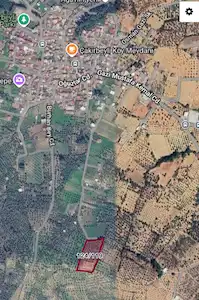 ÇAKIRBEYLİ ÇIBIKDAĞI’NDA 1.829 M² HİSSELİ ZEYTİNLİK