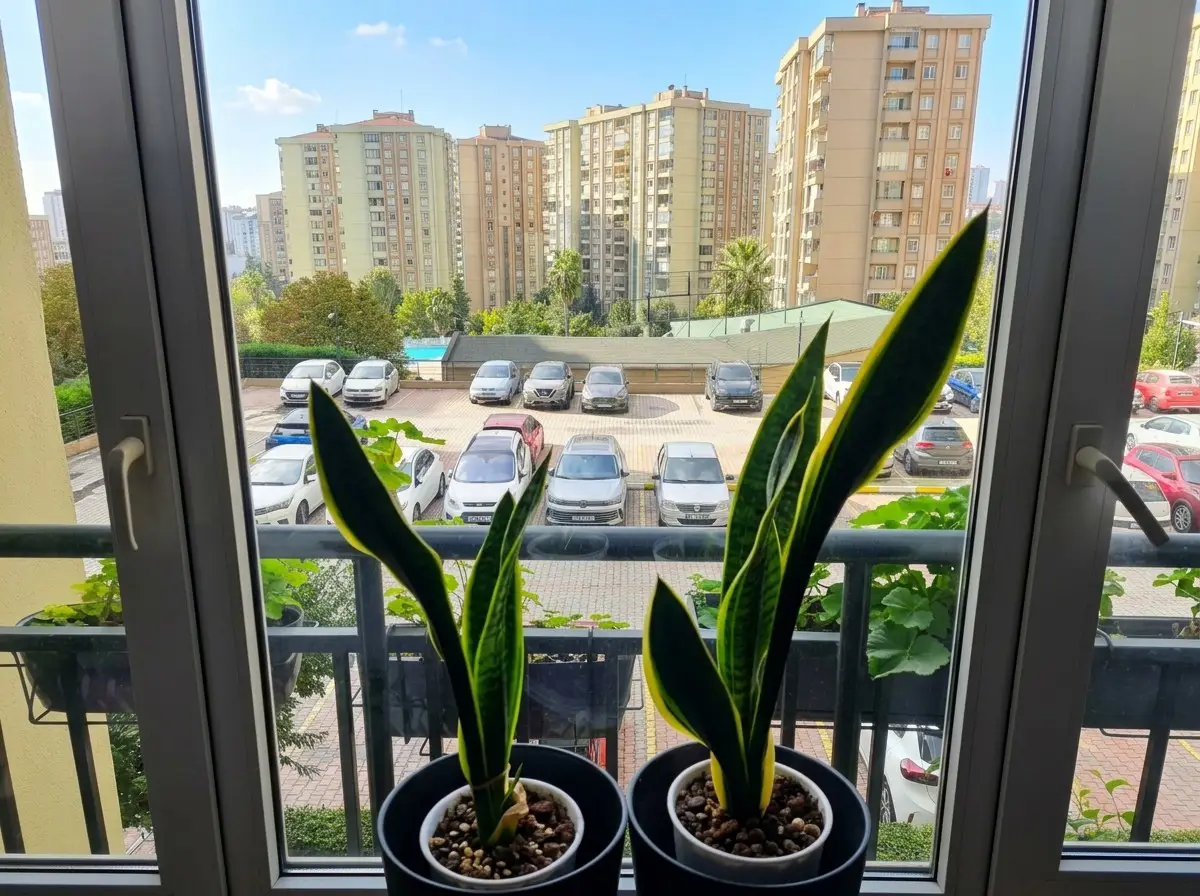 AVRUPA KONUTLARI  ATAKENT 1'DE , TADILATLI VE ÇOK TEMIZ 1+1 SATILIK.