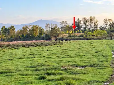 TERME YENİCAMİ MAHALLESİ’NDE SATILIK 13167 M2 TARLA UYGUN FİYAT