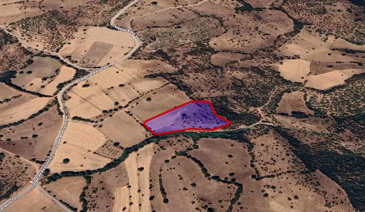 Property image 8