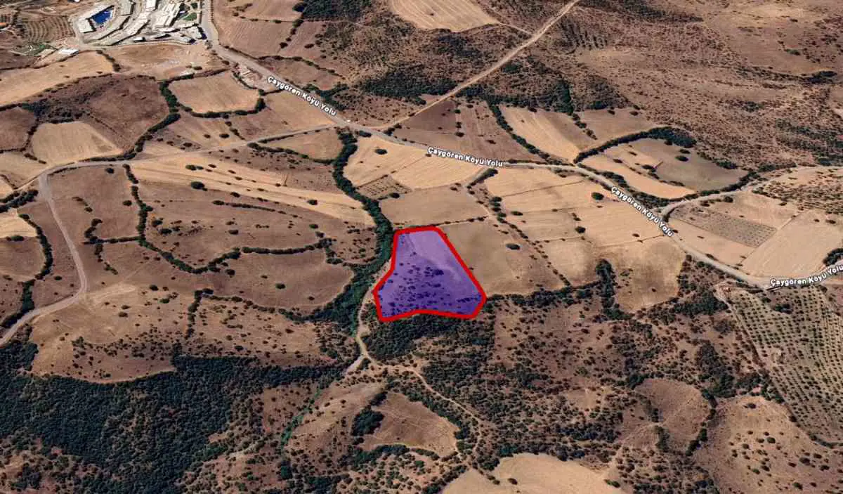 Property image 7