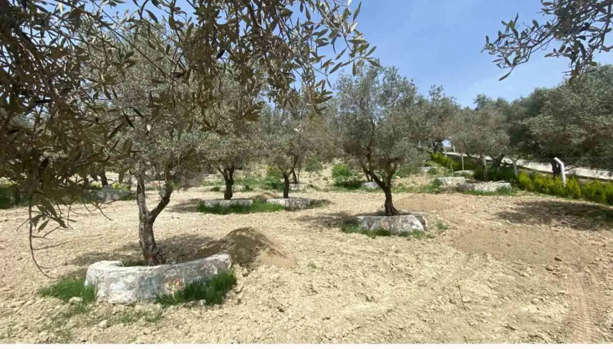 Property image 23