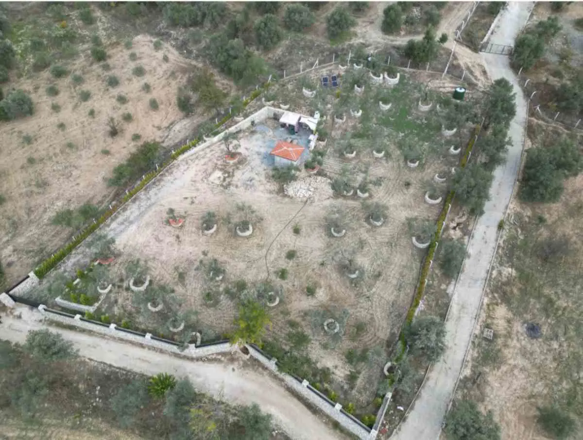 Property image 8