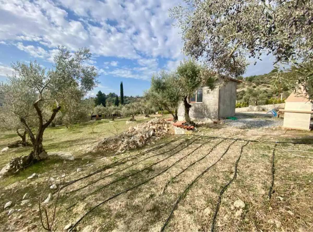 Property image 18