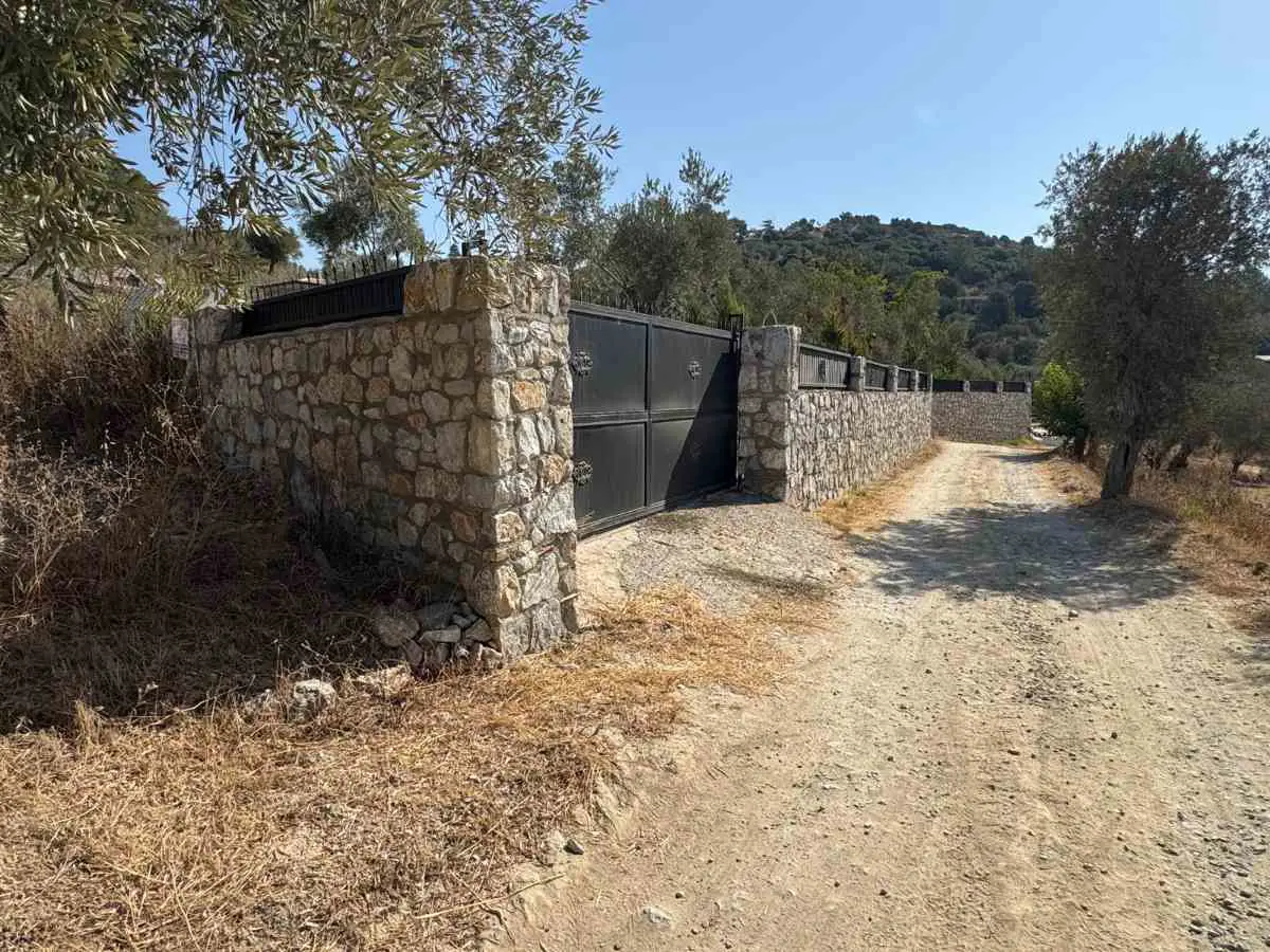 KUŞADASI MERKEZE YAKIN KİRAZLI YOLUNDA MÜSTAKİL TAPU İSKAN RUHSATLI 2426M2 ZEYTİNLİK