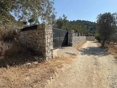 KUŞADASI MERKEZE YAKIN KİRAZLI YOLUNDA MÜSTAKİL TAPU İSKAN RUHSATLI 2426M2 ZEYTİNLİK