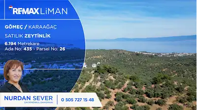 100 AĞAÇLI YOL CEPHELİ MÜCAVİR ALAN İÇERİSİNDE SATILIK BAKIMLI ZEYTİNLİK