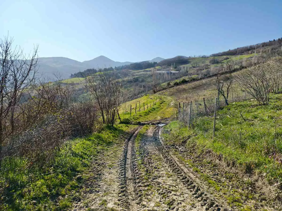 Property image 16