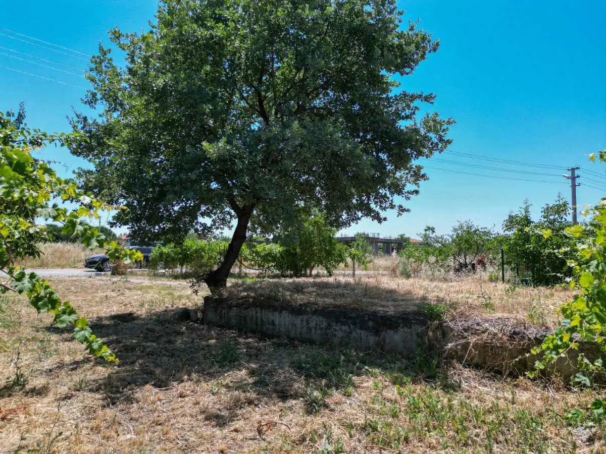 Property image 23