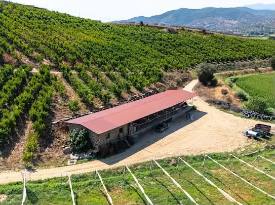 Property image 19