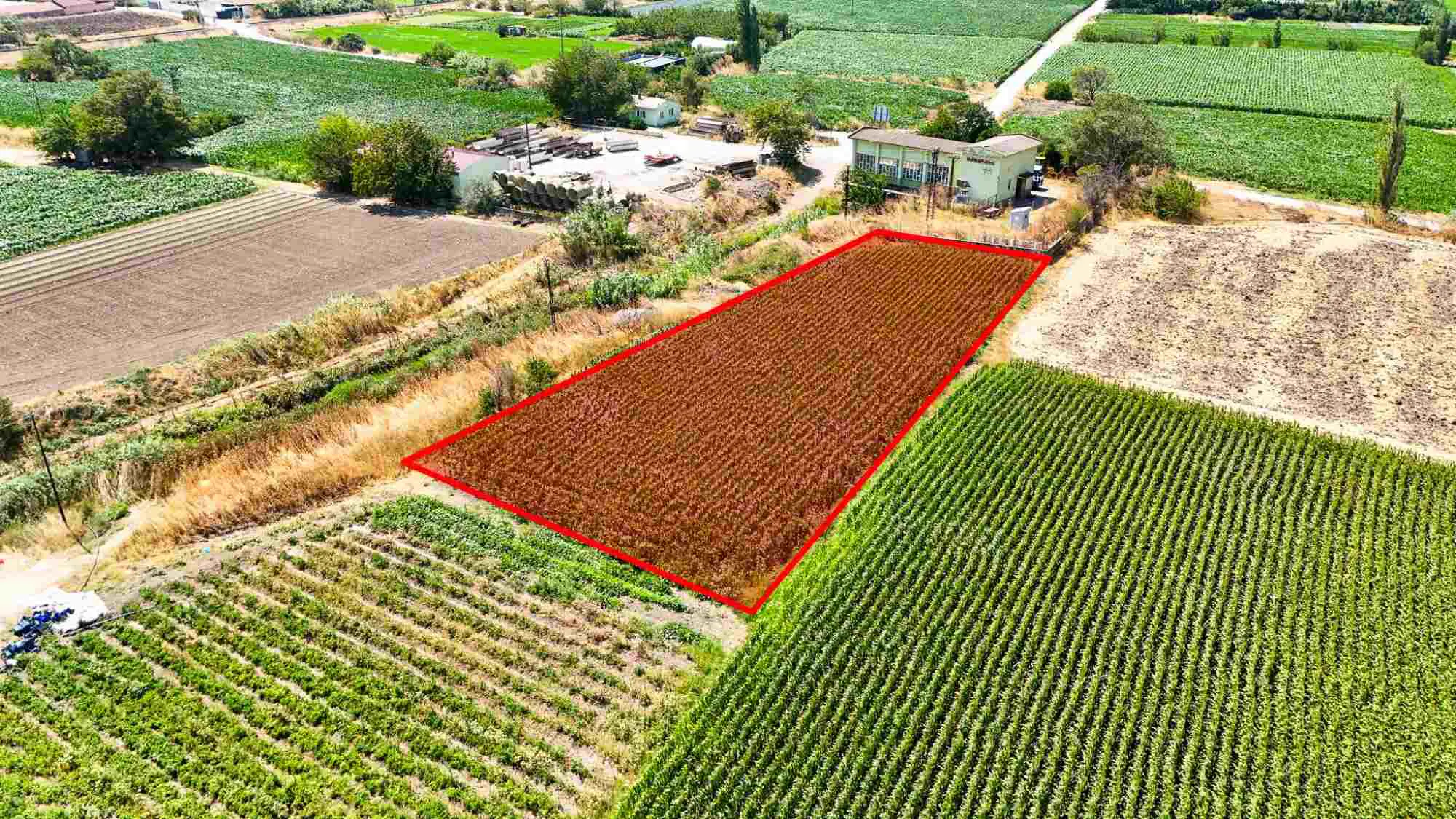 Property image 6