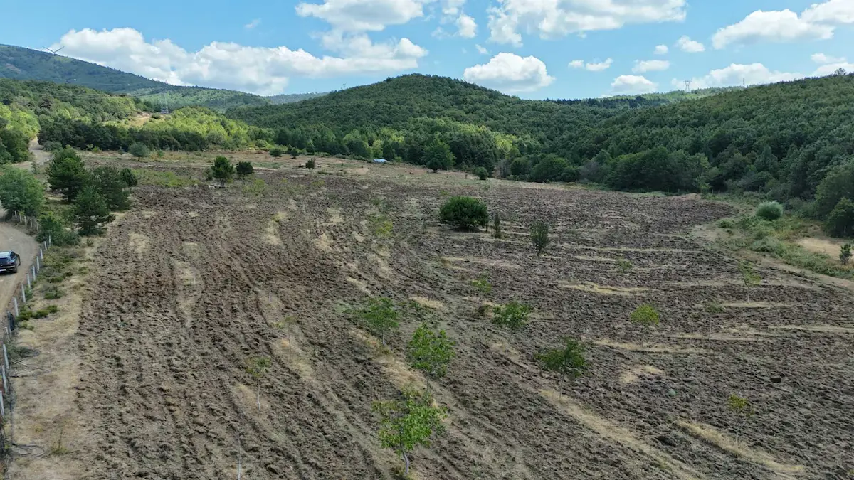 YALOVA ARMUTLU MECİDİYE KÖYÜNDE 46.561 M² TEK TAPU