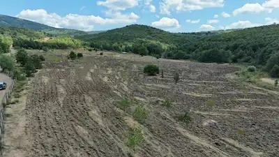 YALOVA ARMUTLU MECİDİYE KÖYÜNDE 46.561 M² TEK TAPU
