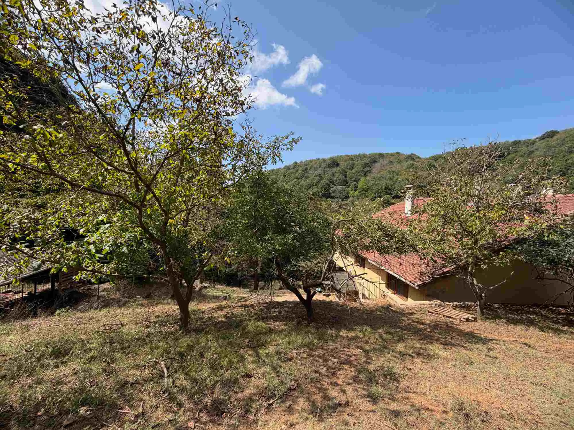 Property image 31